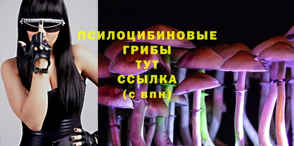 ECSTASY Армянск