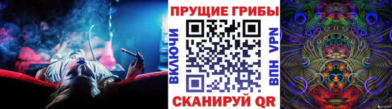 купить закладку  Покров  Галлюциногенные грибы MAGIC MUSHROOMS 